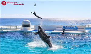 Chùm Tour Nhật Bản 2025 khởi hành từ TP. HCM